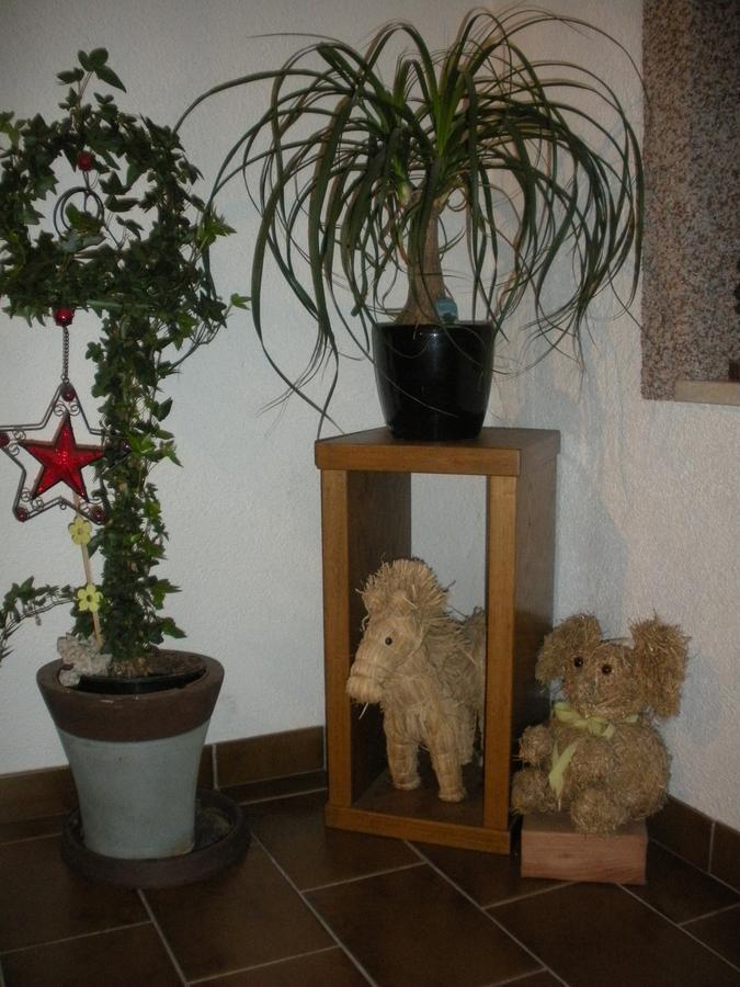 Haus Margit Apartman Kössen Kültér fotó